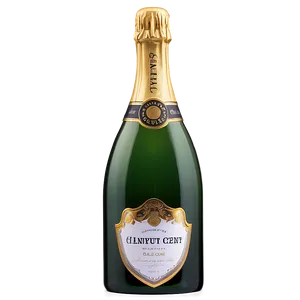 Elegant Champagne Bottle Png Free For Download 63 PNG image