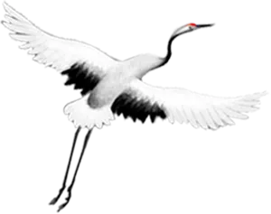 Elegant Crane In Flight.png PNG image