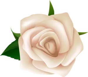 Elegant Cream Rose Illustration PNG image