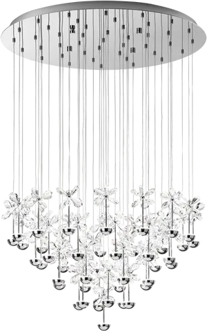 Elegant Crystal Chandelier Lighting