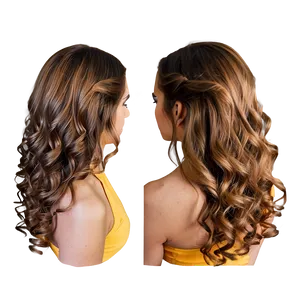 Elegant Curly Hair Upstyle PNG Oxd48 PNG