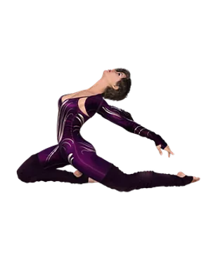 Elegant Dancerin Purple Leotard