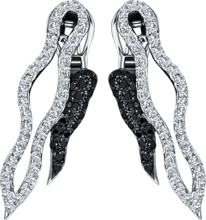 Elegant Diamondand Black Gemstone Earrings PNG