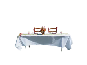 Elegant Dinner Table Setup