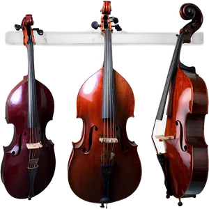 Elegant Double Bass PNG 06242024
