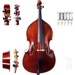 Elegant Double Bass PNG 28