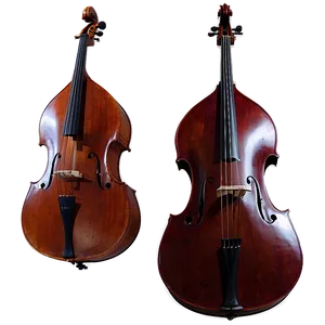 Elegant Double Bass PNG Lyg PNG