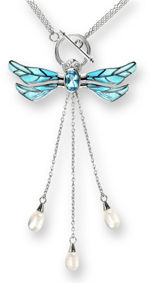 Elegant Dragonfly Pendant Necklace PNG image