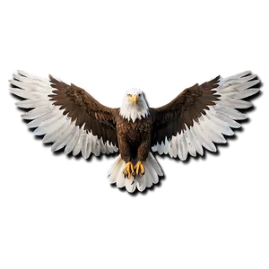 Elegant Eagle Wings Png 55 PNG image