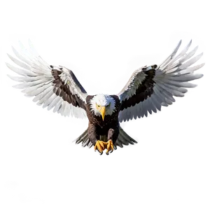 Elegant Eagle Wings Png Jpo82 PNG image