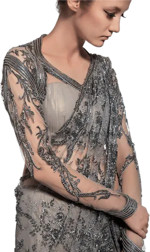 Elegant Embroidered Saree Model PNG image
