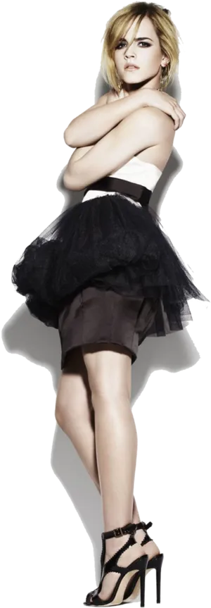 Elegant Emmain Black Tulle Skirt PNG image