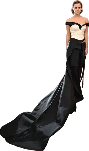 Elegant Evening Gown Portrait PNG image