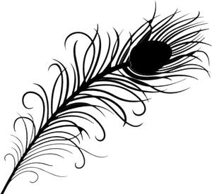 Elegant Feather Artwork PNG image