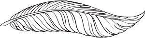 Elegant Feather Illustration