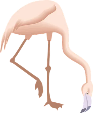 Elegant Flamingo Graphic PNG image