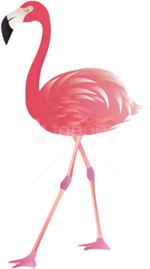 Elegant Flamingo Illustration PNG image