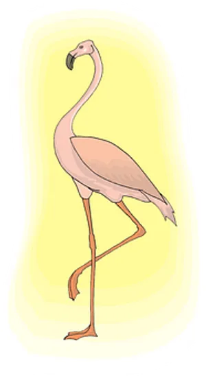 Elegant Flamingo Standing PNG image