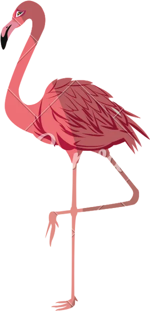 Elegant Flamingo Vector Illustration PNG image