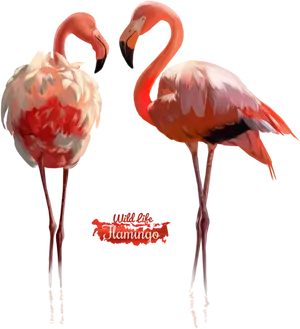 Elegant Flamingos Watercolor Art