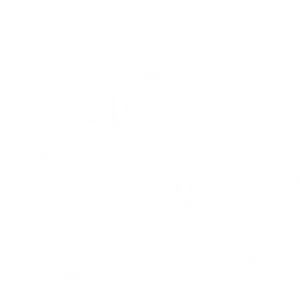 Elegant Fleurde Lis Symbol PNG image