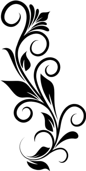 Elegant Floral Border Design PNG image