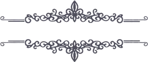 Elegant Floral Border Design PNG image