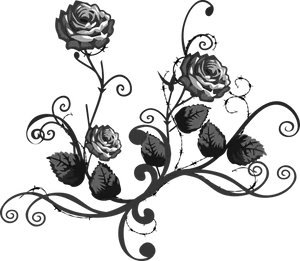 Elegant Floral Design Border PNG image