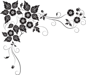 Elegant Floral Design Border PNG image