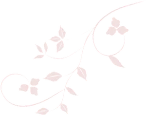 Elegant Floral Designon Black