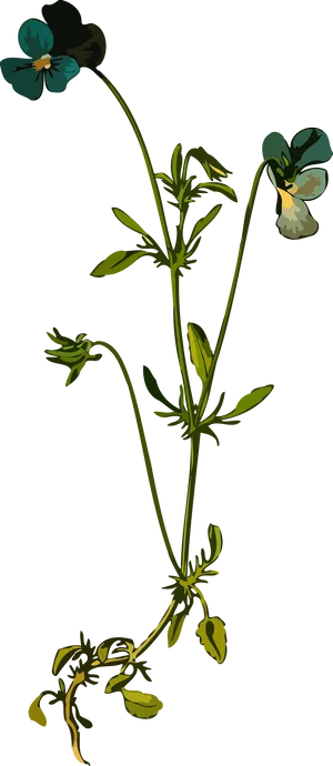 Elegant Floral Illustration Art