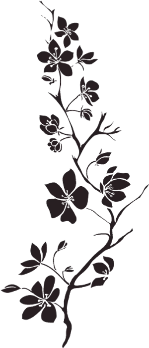 Elegant Floral Silhouette Black Background PNG image
