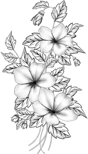 Elegant Floral Sketch Art