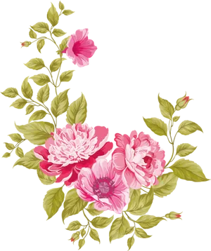 Elegant Floral Vector Design PNG image