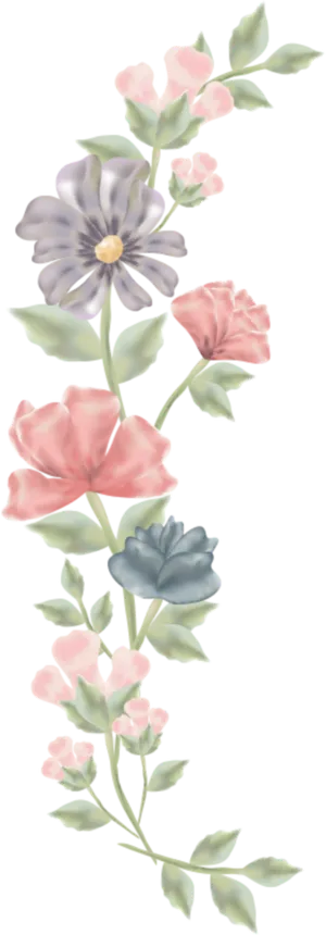 Elegant Floral Vector Illustration PNG image