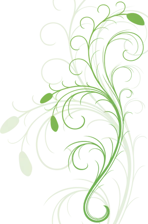 Elegant Floral Vine Design PNG