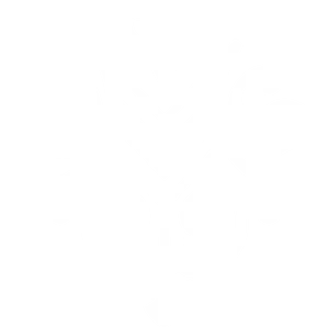 Elegant Flourish Design PNG