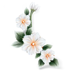 Elegant Flower Border PNG Xug37