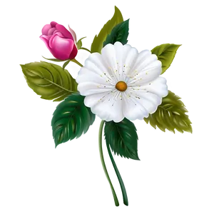 Elegant Flower Clipart Png 05252024 PNG image