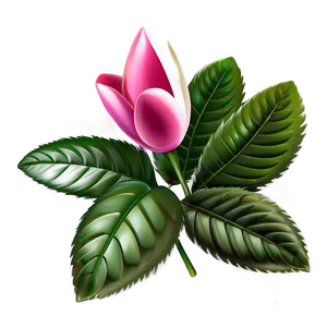 Elegant Flower Clipart Png Obk61 PNG image