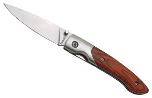 Elegant Folding Knife PNG image