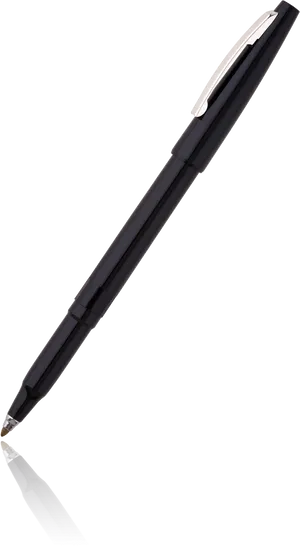 Elegant Fountain Pen
