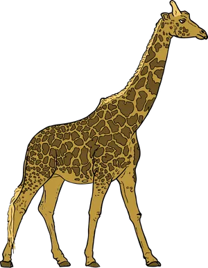 Elegant Giraffe Standing Profile PNG image