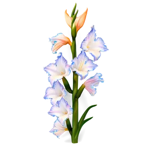 Elegant Gladiolus PNG Hsm PNG