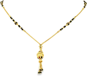 Elegant Gold Tassel Necklace PNG image