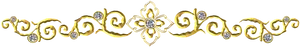 Elegant Golden Floral Border PNG