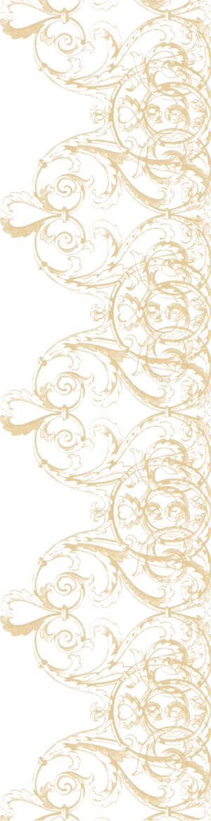 Elegant_ Golden_ Scrollwork_ Border PNG image