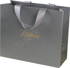 Elegant Gray Paper Shopping Bag