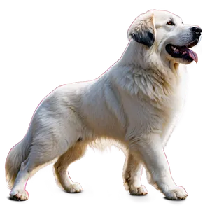 Elegant Great Pyrenees Dog PNG Rnj66 PNG