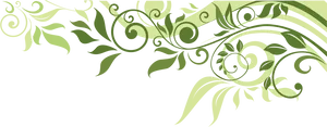 Elegant Green Leaf Flourish Border PNG image